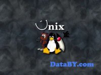   UNIX 