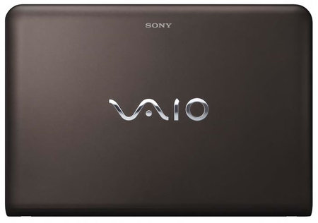 Sony Vaio brown
